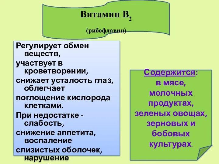 Регулирует обмен веществ, участвует в кроветворении, снижает усталость глаз, облегчает поглощение