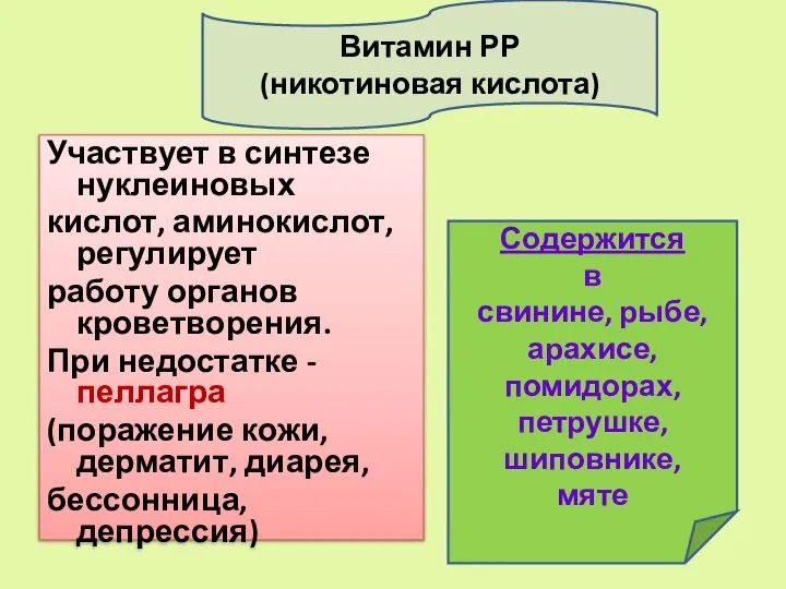 Участвует в синтезе нуклеиновых кислот, аминокислот, регулирует работу органов кроветворения. При