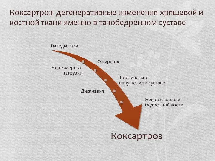 Коксартроз- дегенеративные изменения хрящевой и костной ткани именно в тазобедренном суставе