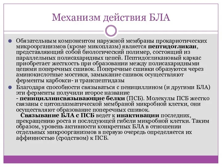 Механизм действия БЛА Обязательным компонентом наружной мембраны прокариотических микроорганизмов (кроме микоплазм)