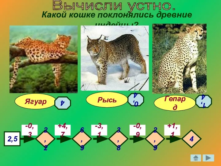 Какой кошке поклонялись древние индейцы? Гепард Ягуар Рысь 2,5 -0,3 -3,1