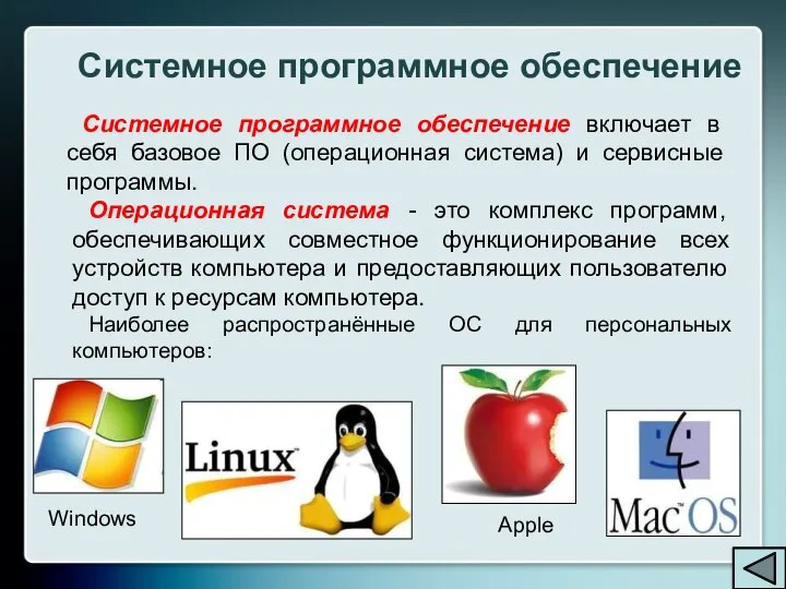 Системное программное обеспечение включает в себя базовое ПО (операционная система) и