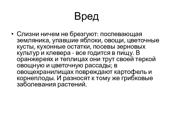 Вред Слизни ничем не брезгуют: поспевающая земляника, упавшие яблоки, овощи, цветочные