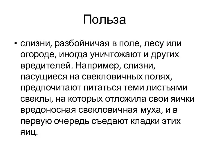 Польза слизни, разбойничая в поле, лесу или огороде, иногда уничтожают и