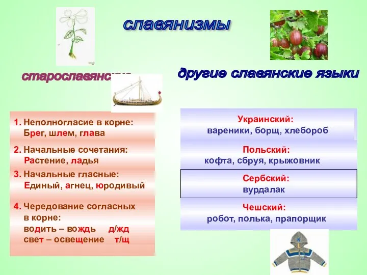 славянизмы 1. Неполногласие в корне: Брег, шлем, глава 2. Начальные сочетания: