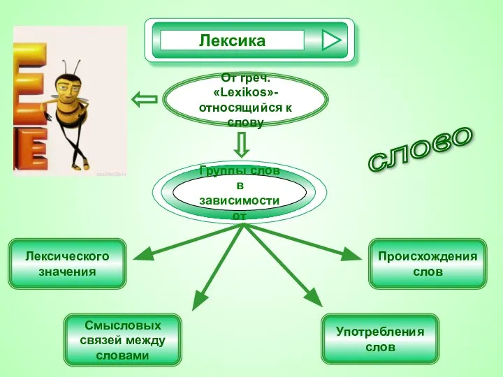 От греч. «Lexikos»- относящийся к слову Лексического значения Смысловых связей между