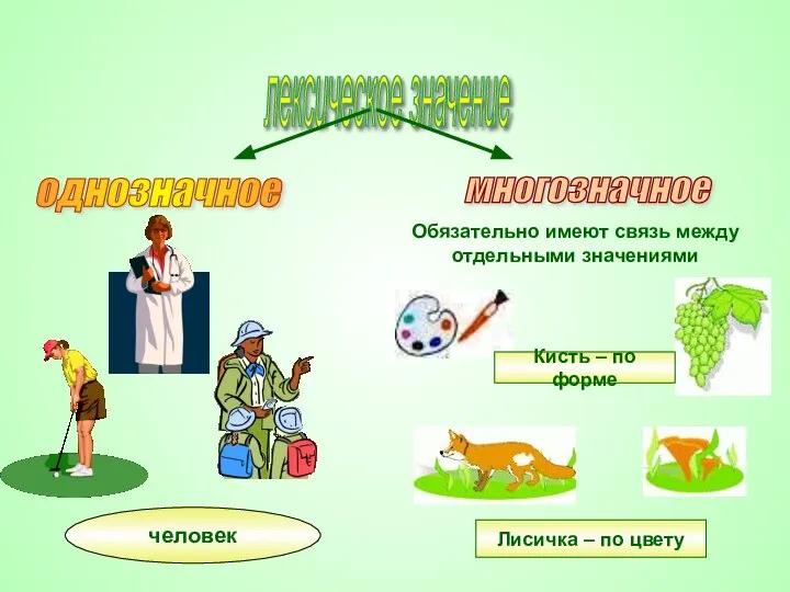 человек лексическое значение однозначное многозначное Обязательно имеют связь между отдельными значениями