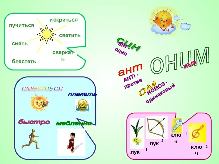 оним син ант ом SIN - один ANTI - против НOMOS-