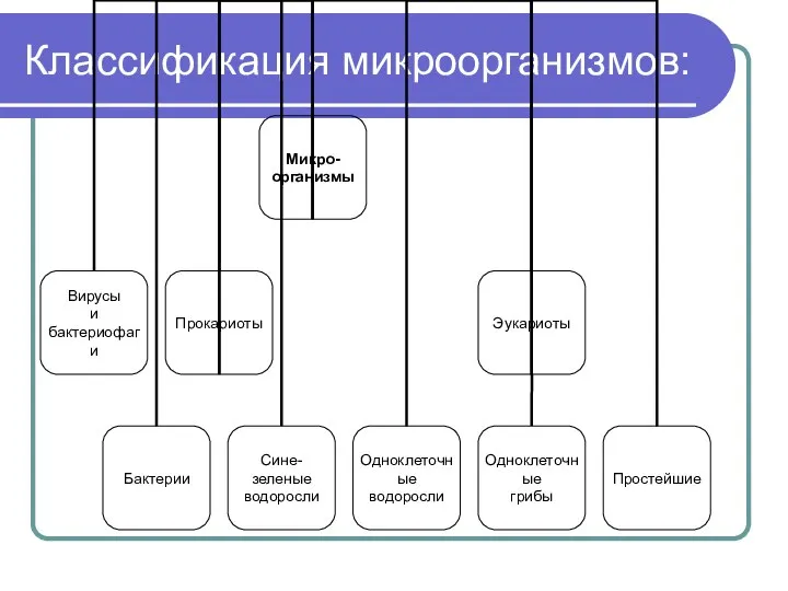 Классификация микроорганизмов: