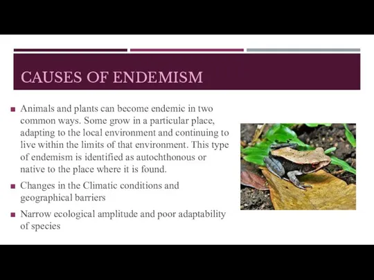 CAUSES OF ENDEMISM Animals and plants can become endemic in two