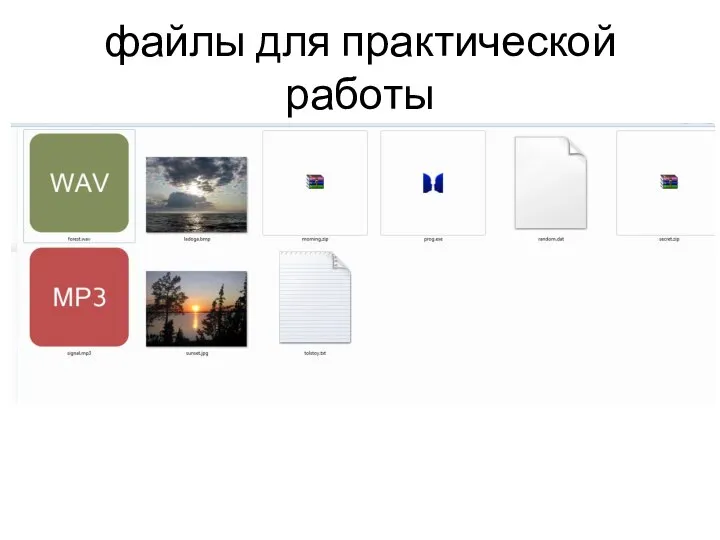 файлы для практической работы
