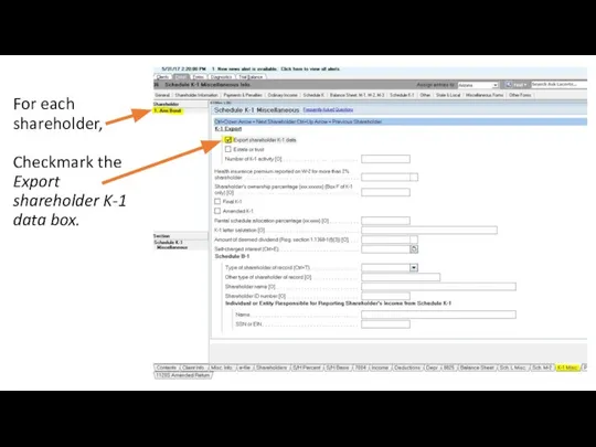 For each shareholder, Checkmark the Export shareholder K-1 data box.