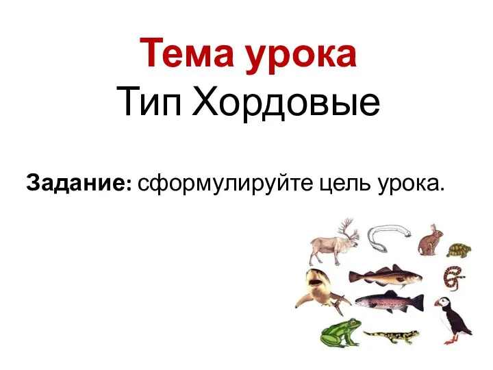 Тема урока Тип Хордовые Задание: сформулируйте цель урока.