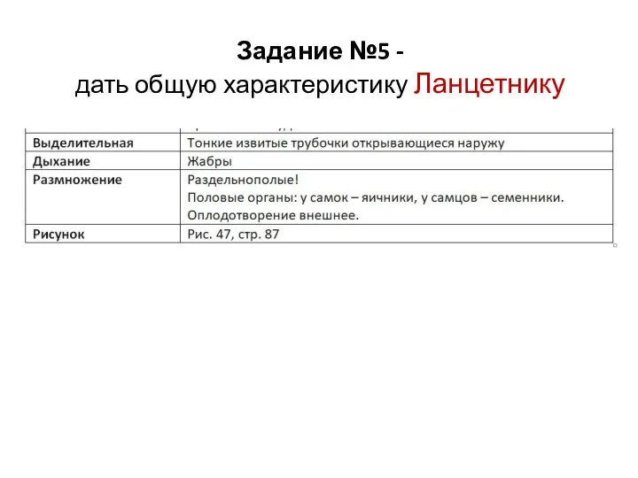 Задание №5 - дать общую характеристику Ланцетнику