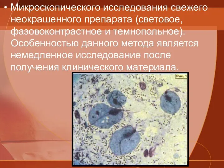 Микроскопического исследования свежего неокрашенного препарата (световое, фазовоконтрастное и темнопольное). Особенностью данного