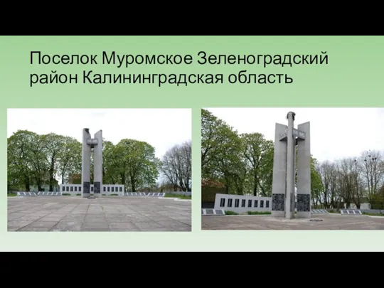 Поселок Муромское Зеленоградский район Калининградская область