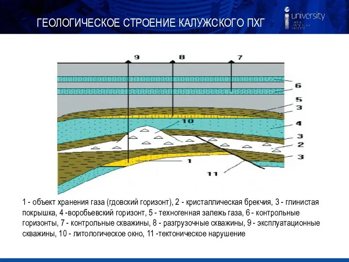 ГЕОЛОГИЧЕСКОЕ СТРОЕНИЕ КАЛУЖСКОГО ПХГ 1 - объект хранения газа (гдовский горизонт),