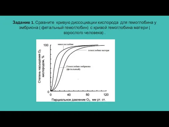 Задание 1. Сравните кривую диссоциации кислорода для гемоглобина у эмбриона (