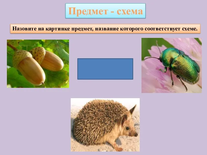 Назовите на картинке предмет, название которого соответствует схеме. Предмет - схема