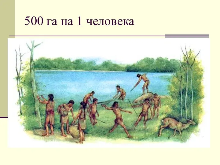 500 га на 1 человека