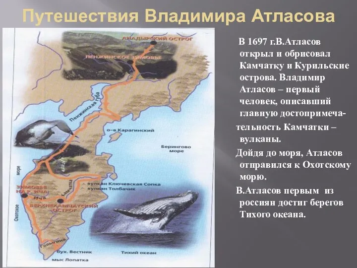 Путешествия Владимира Атласова В 1697 г.В.Атласов открыл и обрисовал Камчатку и