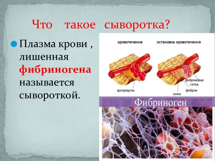 Что такое сыворотка? Плазма крови , лишенная фибриногена называется сывороткой.