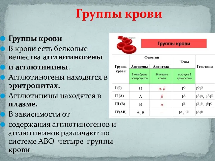 Группы крови Группы крови В крови есть белковые вещества агглютиногены и