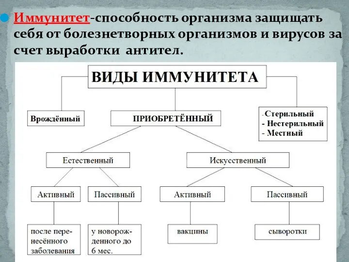 Иммунитет-способность организма защищать себя от болезнетворных организмов и вирусов за счет выработки антител.