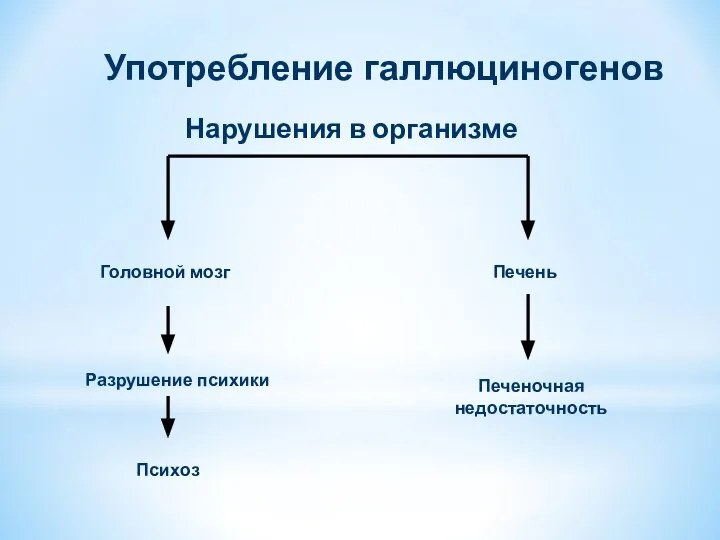 Головной мозг Психоз Печень Печеночная недостаточность Разрушение психики Нарушения в организме Употребление галлюциногенов