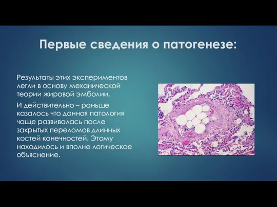 Первые сведения о патогенезе: Результаты этих экспериментов легли в основу механической