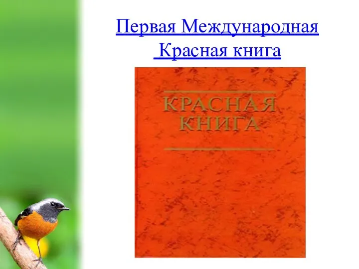 Первая Международная Красная книга