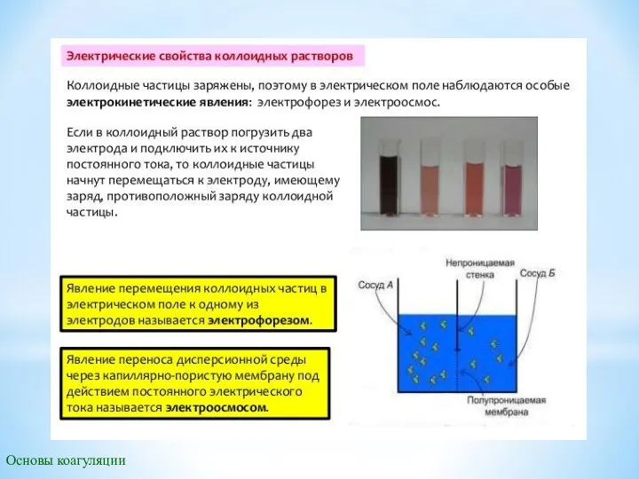 Основы коагуляции