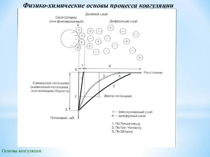 Основы коагуляции Физико-химические основы процесса коагуляции