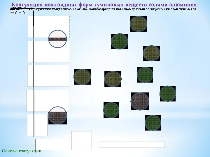 Основы коагуляции Коагуляция коллоидных форм гуминовых веществ солями алюминия