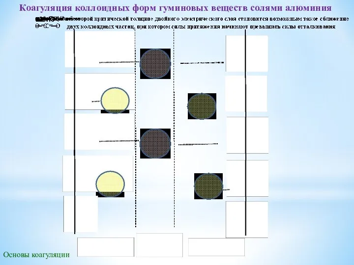 Основы коагуляции Коагуляция коллоидных форм гуминовых веществ солями алюминия