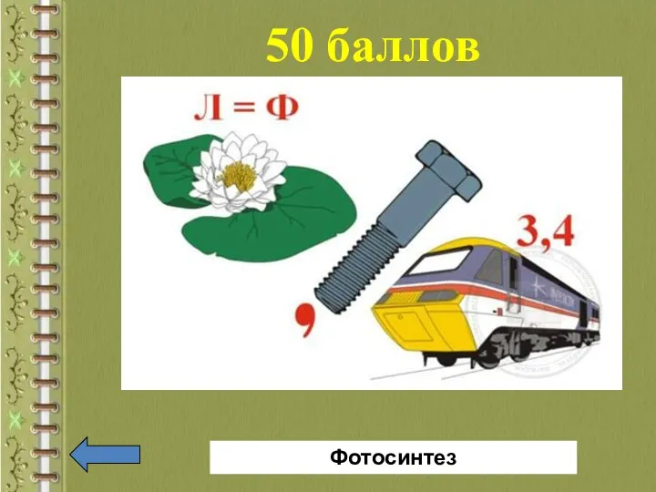 50 баллов Фотосинтез