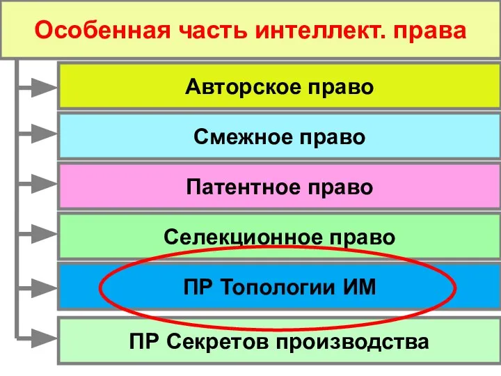 Особенная часть интеллект. права Смежное право Авторское право Патентное право Селекционное