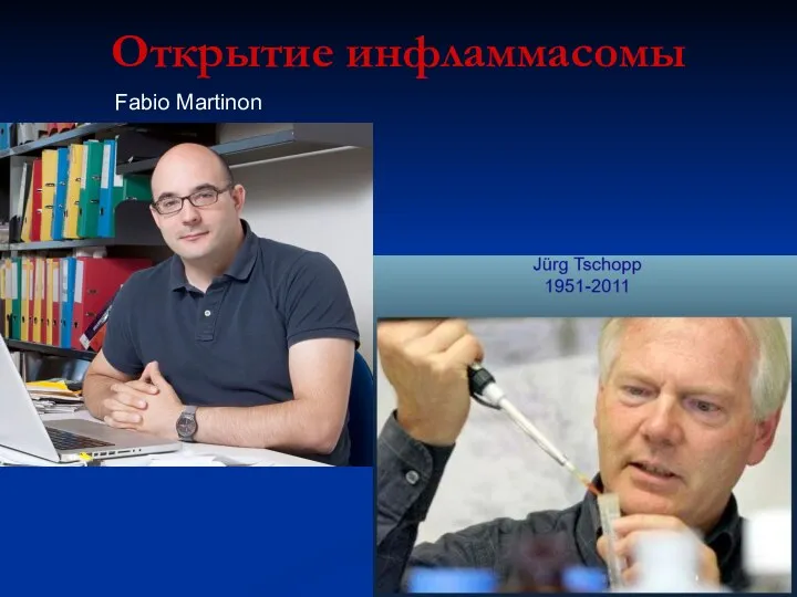 Открытие инфламмасомы Fabio Martinon