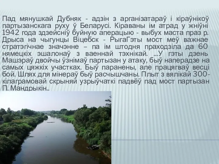 Пад мянушкай Дубняк - адзін з арганізатараў і кіраўнікоў партызанскага руху