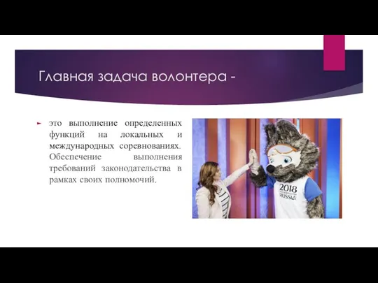 Главная задача волонтера - это выполнение определенных функций на локальных и