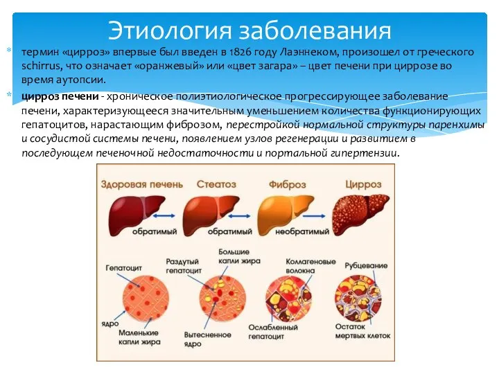 термин «цирроз» впервые был введен в 1826 году Лаэннеком, произошел от