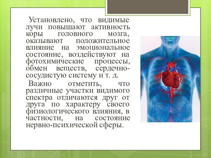 Установлено, что видимые лучи повышают активность коры головного мозга, оказывают положительное