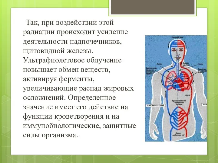 Так, при воздействии этой радиации происходит усиление деятельности надпочечников, щитовидной железы.