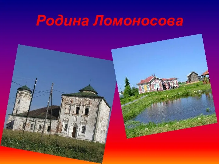 Родина Ломоносова