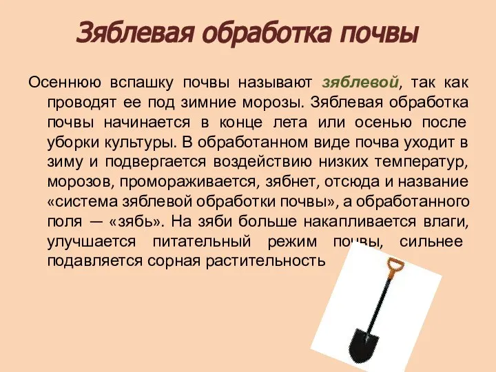 Зяблевая обработка почвы Осеннюю вспашку почвы называют зяблевой, так как проводят