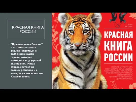 КРАСНАЯ КНИГА РОССИИ "Красная книга России " – это список самых