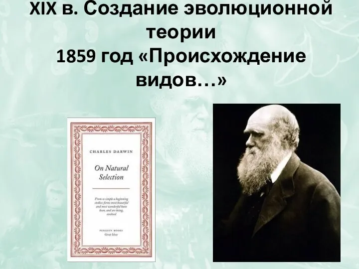 XIX в. Создание эволюционной теории 1859 год «Происхождение видов…»