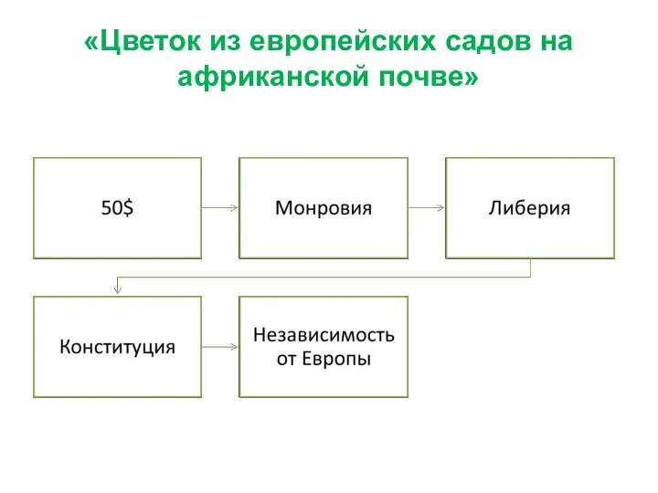 «Цветок из европейских садов на африканской почве»