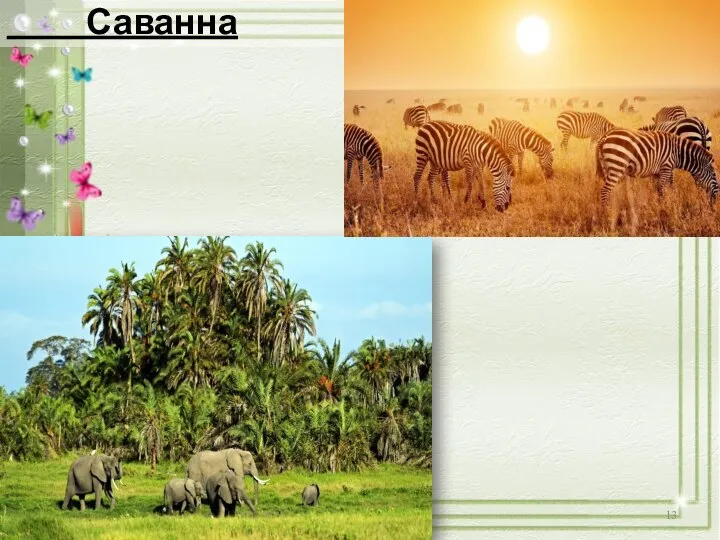 Саванна