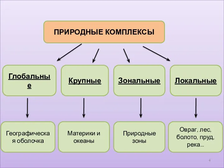 ПРИРОДНЫЕ КОМПЛЕКСЫ Глобальные Крупные Зональные Локальные Географическая оболочка Материки и океаны